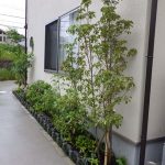 施工後（4）