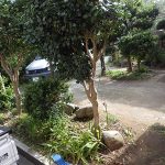 施工前（2）