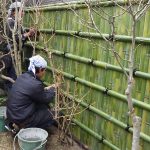 施工中（6）