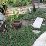 施工後（5）