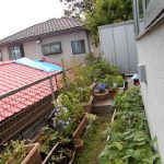 施工前（1）