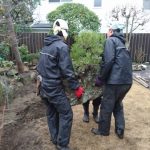 施工中（2）枯流れの組み直し