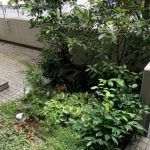 施工前（1）