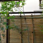 施工後　和室前