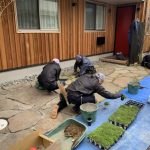 施工中（27）下草、草目地植栽