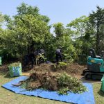 施工中（2）既存木の木の根を丁寧に除去