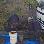 施工中（20）玄関前、植栽やり替え