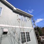 施工後（31）トネリコ