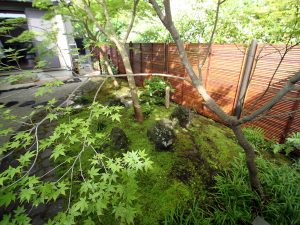Koke-niwa (Moss garden) construction example (Yoneyama Teien)