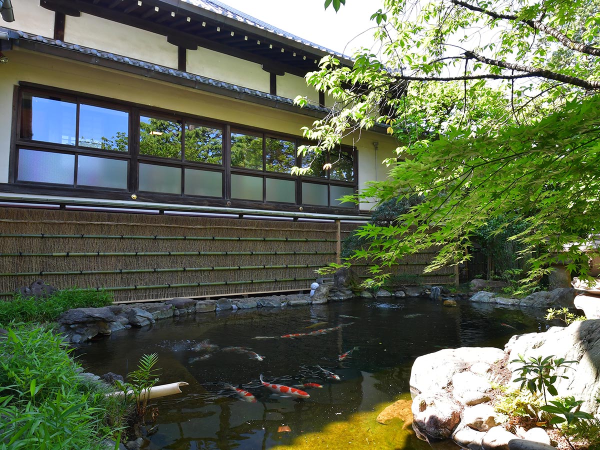 Japanese garden