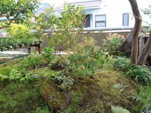 Koke-niwa (Moss garden) construction example (Yoneyama Teien)