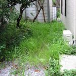 施工前(３)
