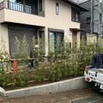 施工中（12）マキの生垣植栽