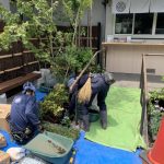 施工中（23）植栽中