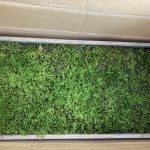 施工中（14）ミックス苔