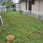 施工前（1）