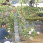 施工中（4）