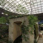 施工後（3） 大谷石製のアーチをくぐり、庭に入ります。