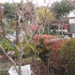 施工前（2）