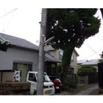 施工前（2）