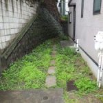 施工前（6）