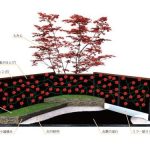 CAD設計立面図
