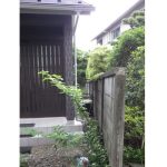 施工前（4）