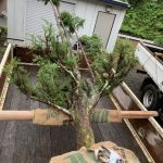 施工中（14）