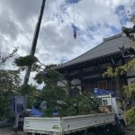 施工中（17）ラフターでの台杉搬入