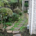 施工前（5）