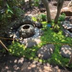 施工中（26）つくばい