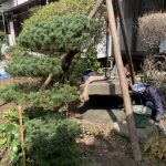 施工中（5）既存石像品の移動