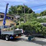 施工中（28）植栽