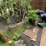 施工中（29）苔　張り