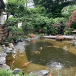 施工前（1）