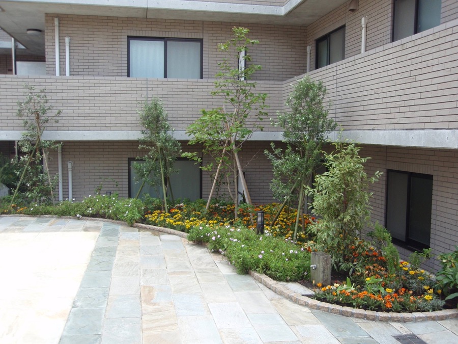 マンション・企業・ホテルの緑地管理の施工例（中庭の植栽）